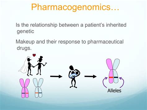• The term<strong> pharmacogenomics</strong> was coined in connection with the human genome project • Most use pharmacogenetics to depict the study of single genes and their effects on interindividual differences in (mainly) drug. . Pharmacogenomics ppt